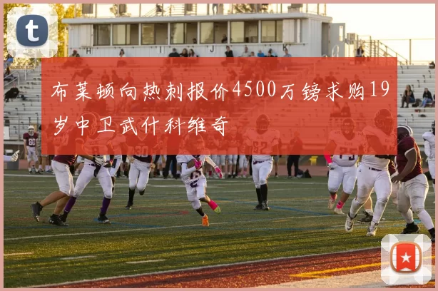 布莱顿向热刺报价4500万镑求购19岁中卫武什科维奇