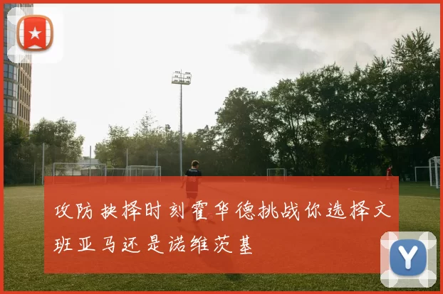 攻防抉择时刻霍华德挑战你选择文班亚马还是诺维茨基